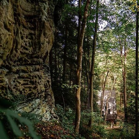 Dunlap Hollow A-Frame Rockbridge Buitenkant foto