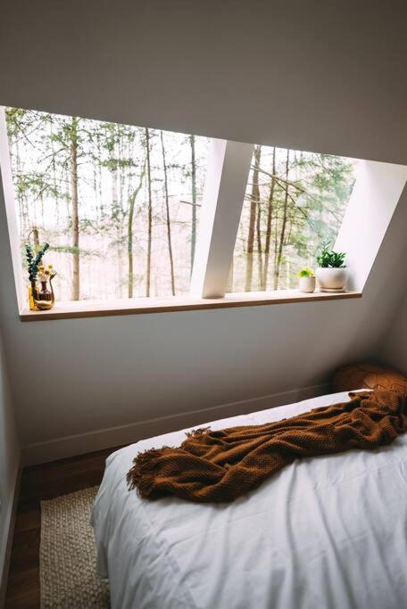Dunlap Hollow A-Frame Rockbridge Buitenkant foto