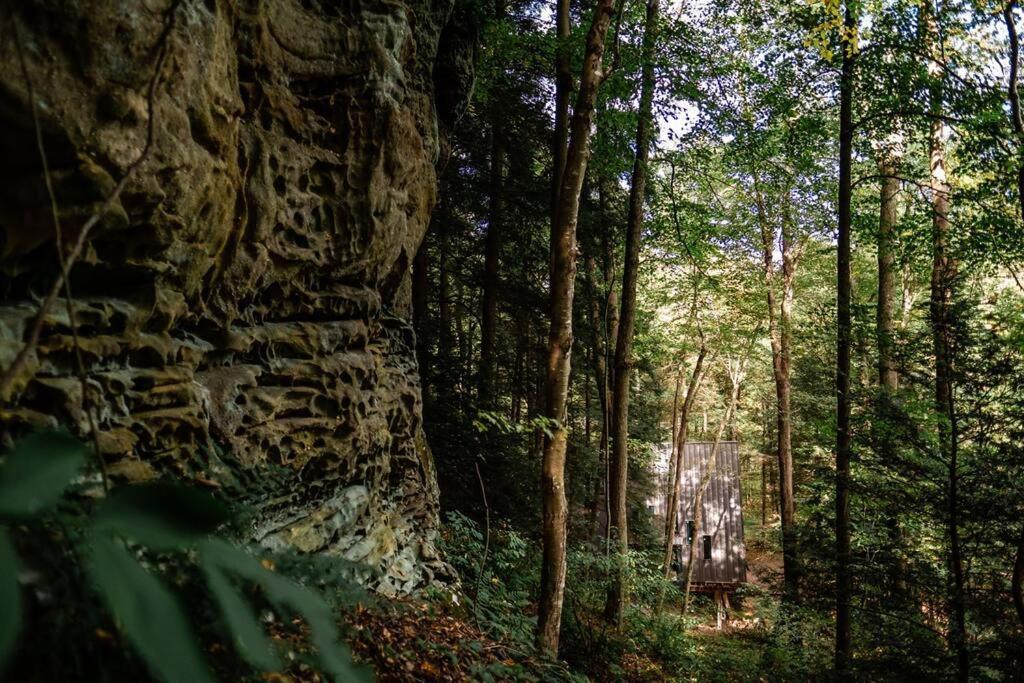 Dunlap Hollow A-Frame Rockbridge Buitenkant foto