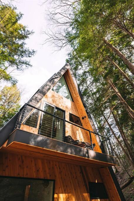 Dunlap Hollow A-Frame Rockbridge Buitenkant foto