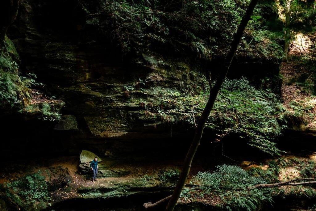 Dunlap Hollow A-Frame Rockbridge Buitenkant foto
