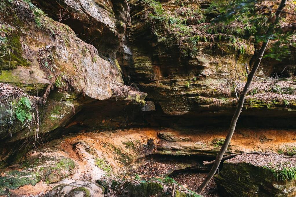 Dunlap Hollow A-Frame Rockbridge Buitenkant foto